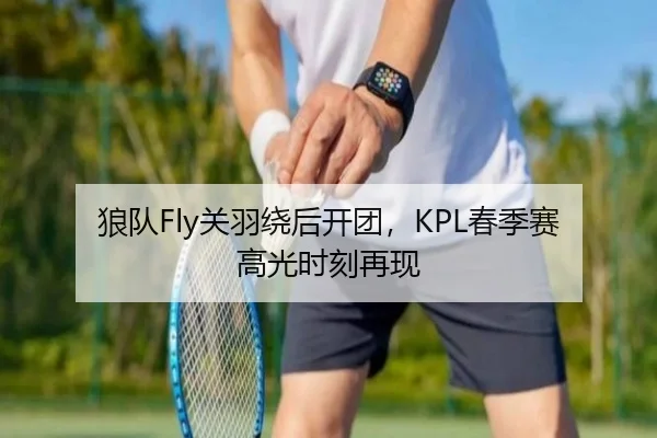 狼队Fly关羽绕后开团，KPL春季赛高光时刻再现